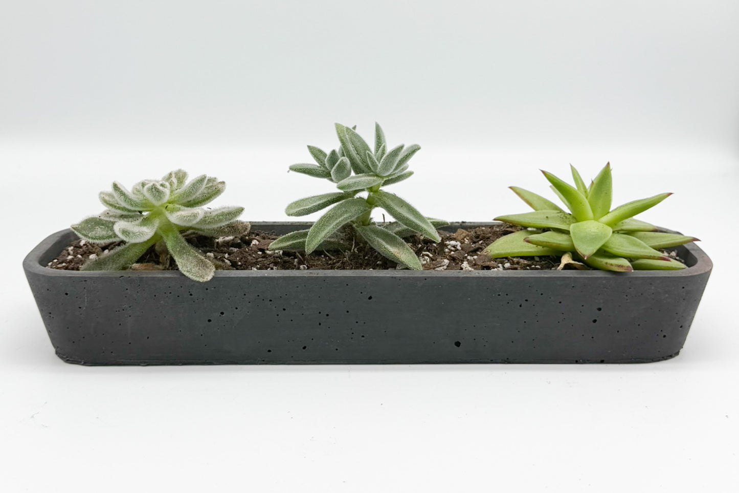 Concrete Succulent Planter – Long Planter for Indoor & Outdoor Decor