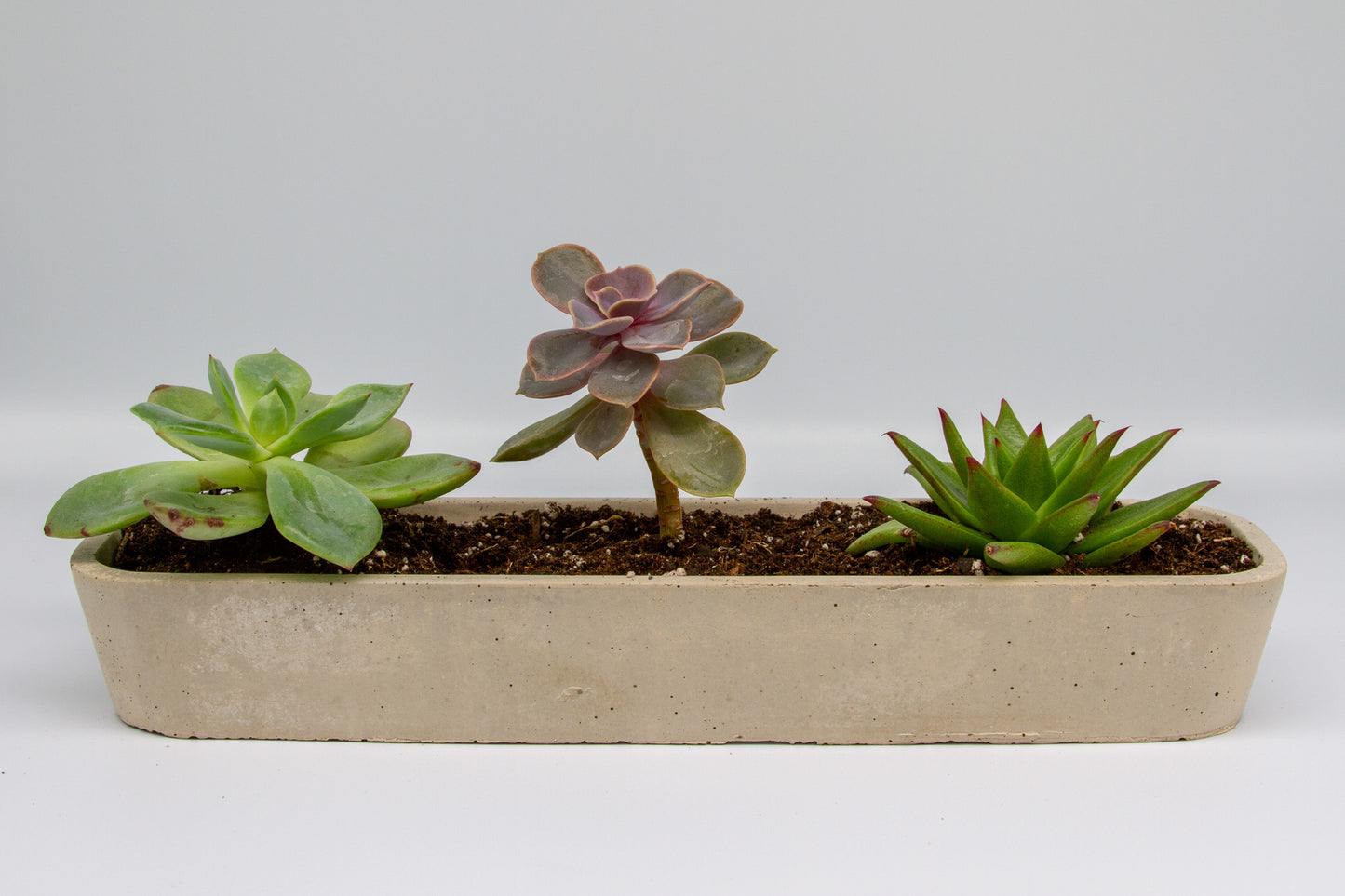 Concrete Succulent Planter –  Long Planter for Indoor & Outdoor Decor