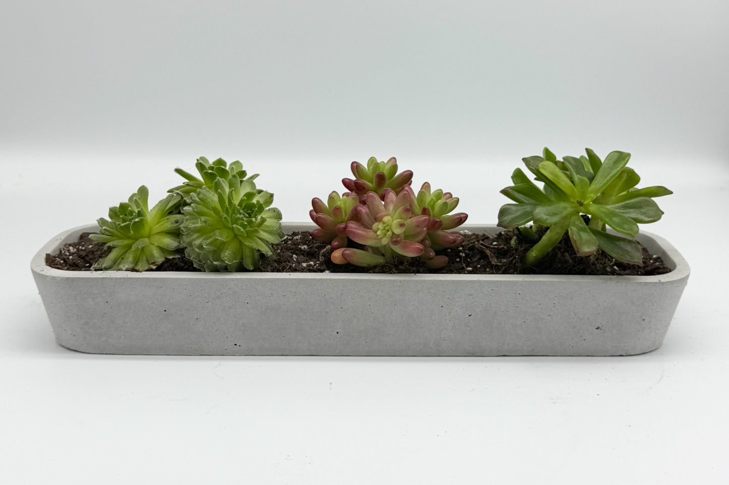 Concrete Succulent Planter –  Long Planter for Indoor & Outdoor Decor